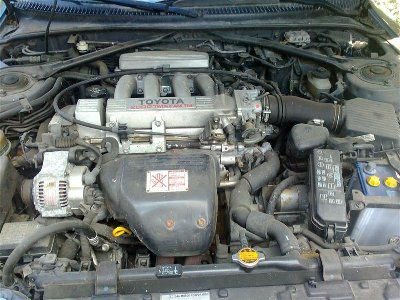 Photo CELICA 01 (Medium).jpg